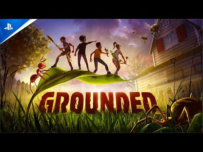 Grounded